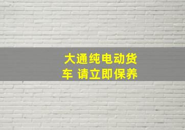 大通纯电动货车 请立即保养